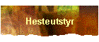 Hesteutstyr