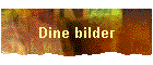 Dine bilder