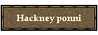 Hackney ponni