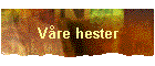 Vre hester