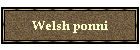 Welsh ponni